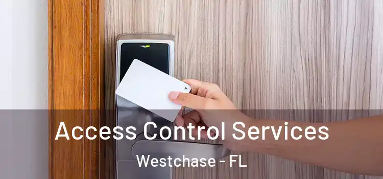 Access Control Services Westchase - FL