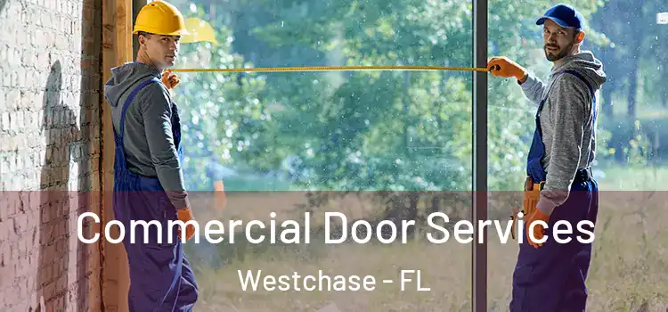 Commercial Door Services Westchase - FL