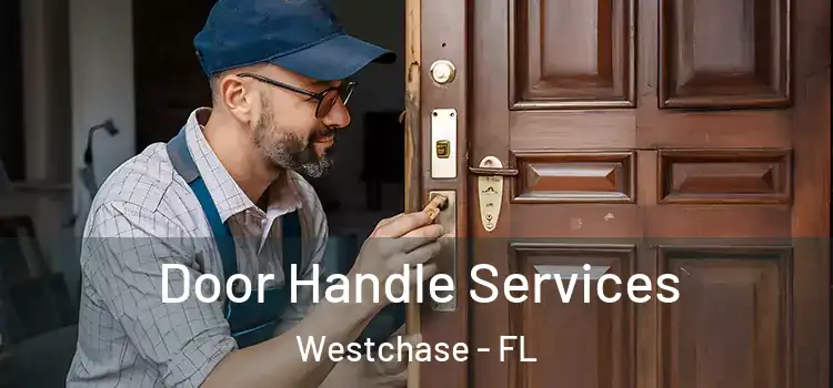 Door Handle Services Westchase - FL