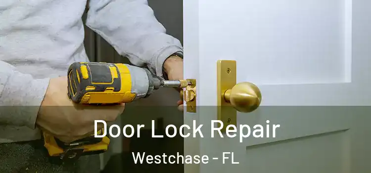 Door Lock Repair Westchase - FL