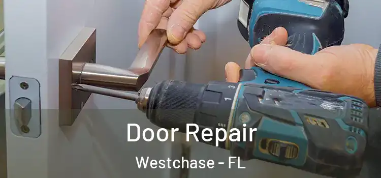 Door Repair Westchase - FL