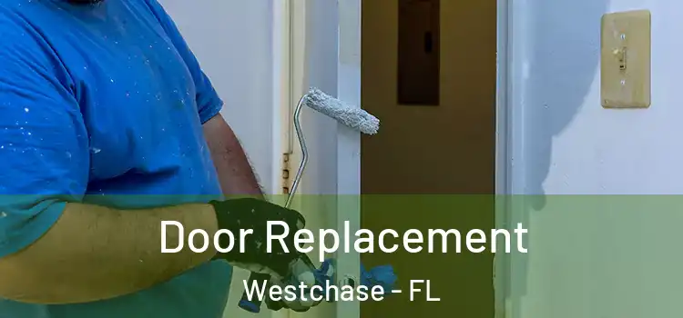 Door Replacement Westchase - FL