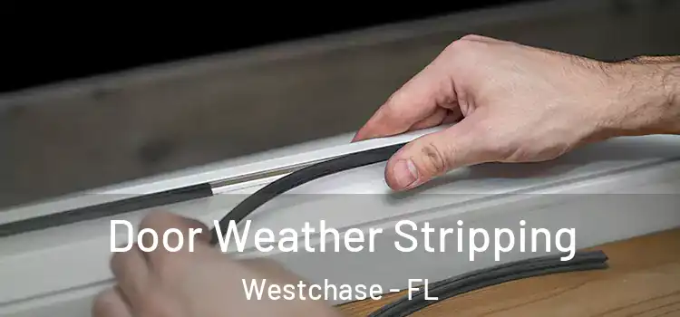Door Weather Stripping Westchase - FL