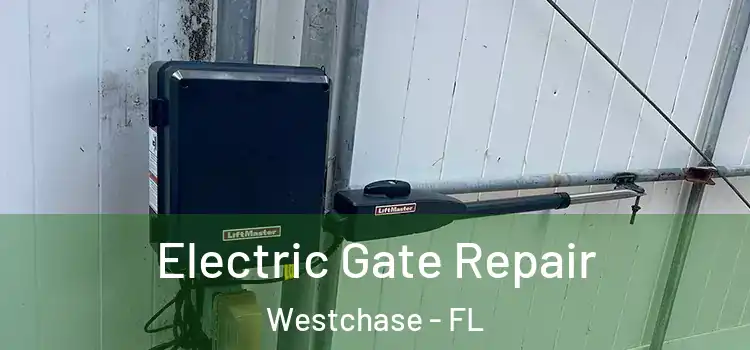 Electric Gate Repair Westchase - FL