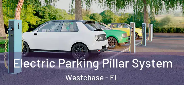Electric Parking Pillar System Westchase - FL