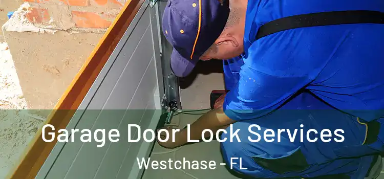 Garage Door Lock Services Westchase - FL