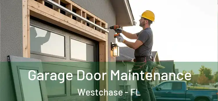 Garage Door Maintenance Westchase - FL
