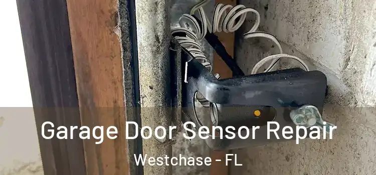 Garage Door Sensor Repair Westchase - FL