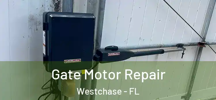 Gate Motor Repair Westchase - FL