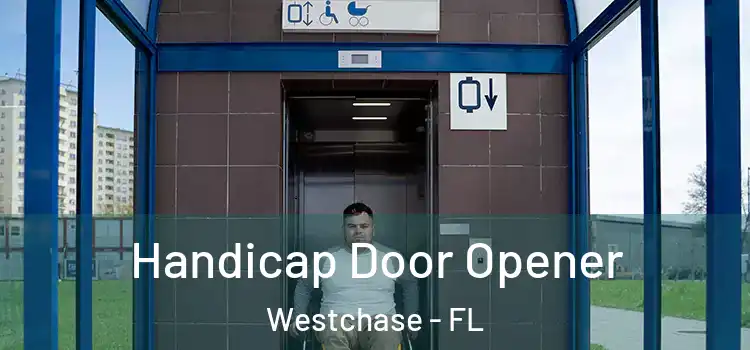 Handicap Door Opener Westchase - FL