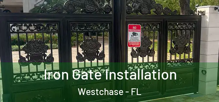 Iron Gate Installation Westchase - FL