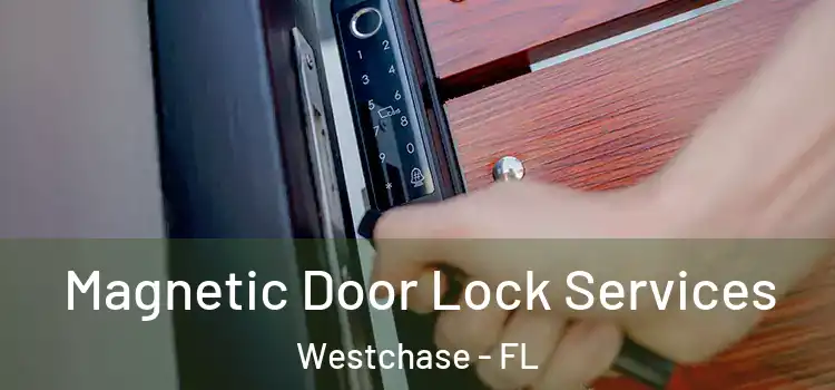 Magnetic Door Lock Services Westchase - FL