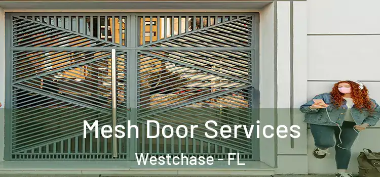Mesh Door Services Westchase - FL