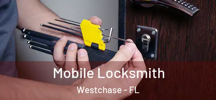 Mobile Locksmith Westchase - FL