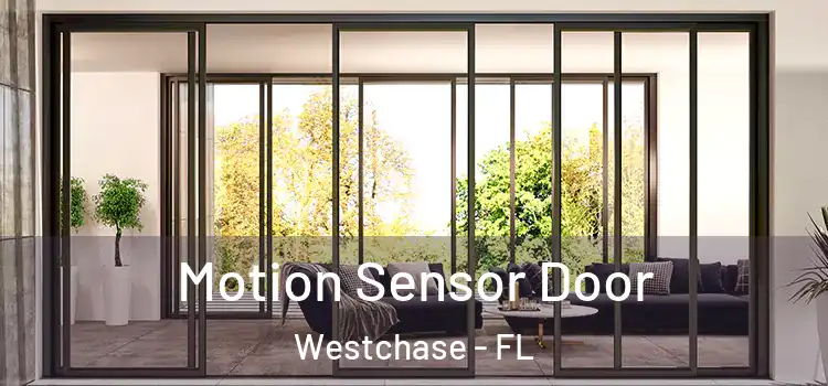 Motion Sensor Door Westchase - FL