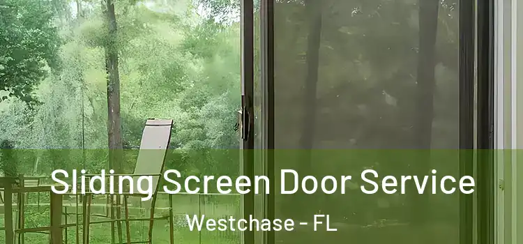 Sliding Screen Door Service Westchase - FL