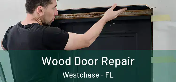 Wood Door Repair Westchase - FL